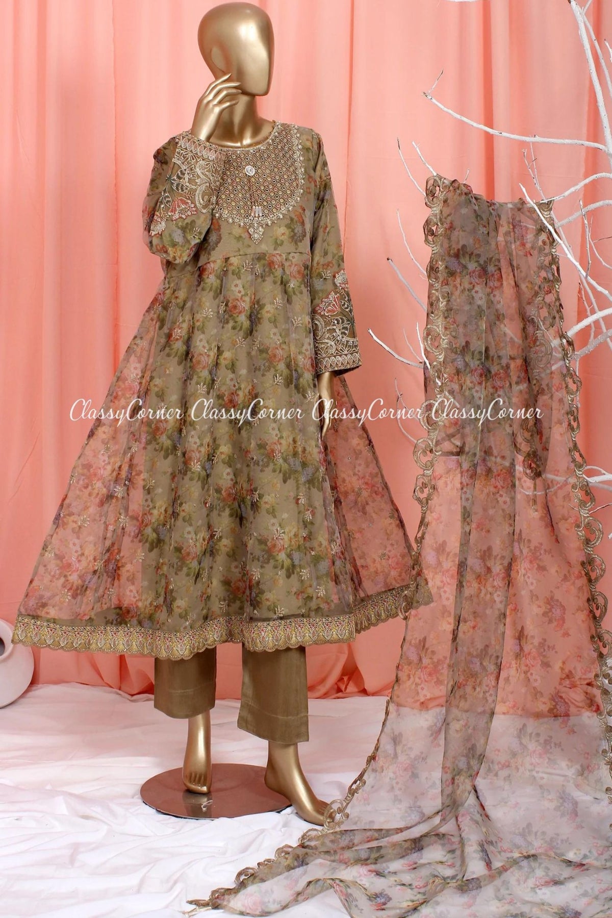 Beige Organza Pakistani Dress