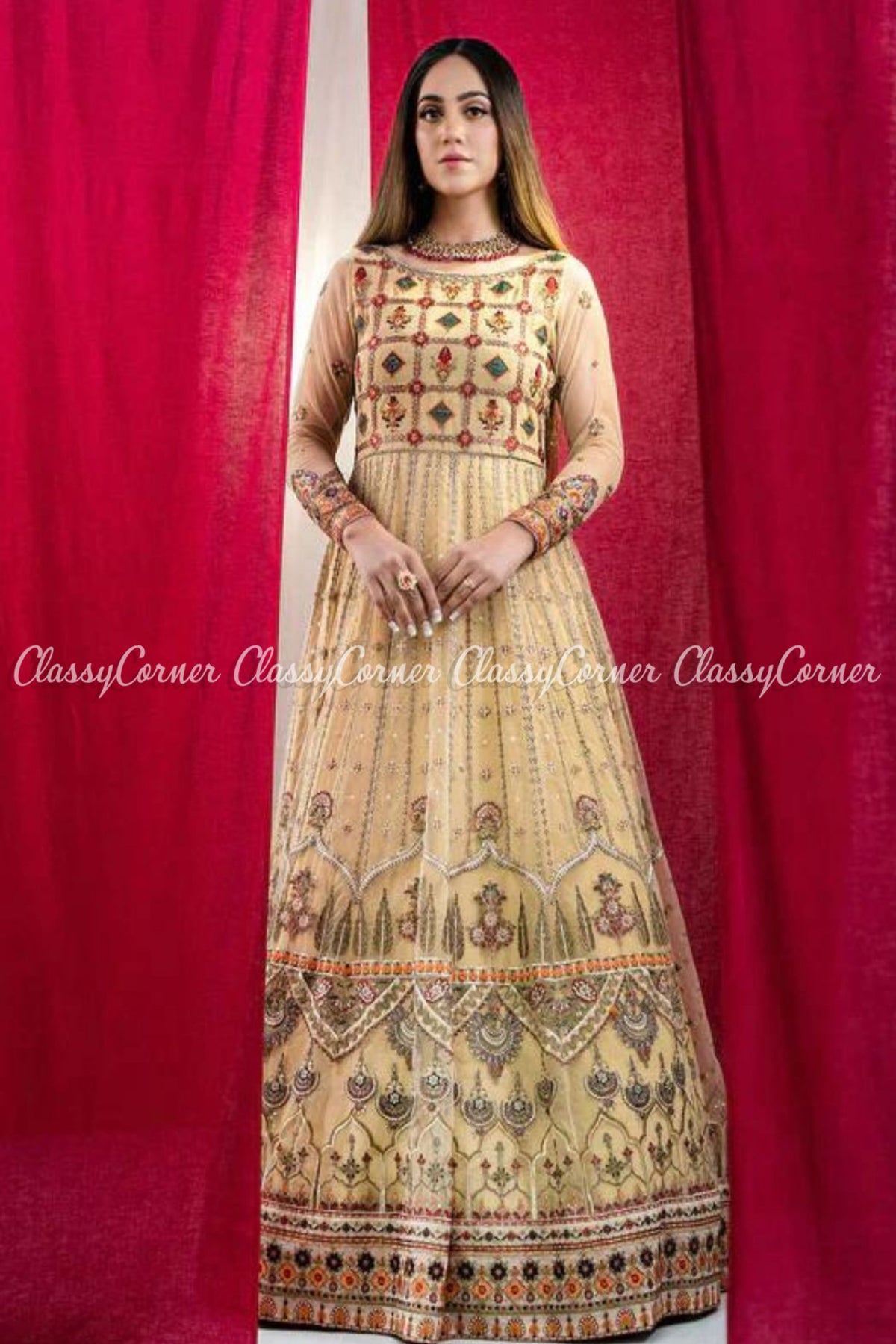 Pakistani Beige Multicolor Net Embroidered Gown