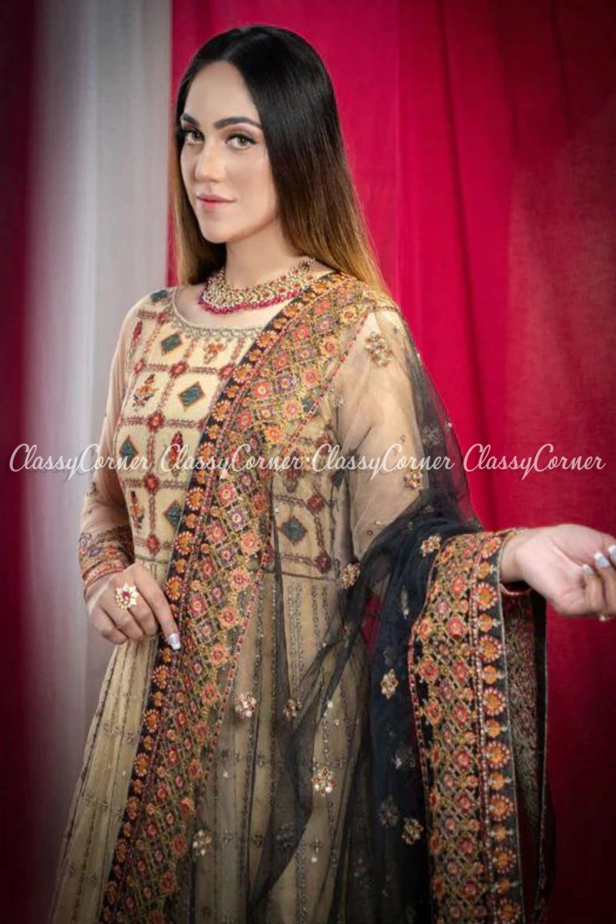 Pakistani Beige Multicolor Net Embroidered Gown