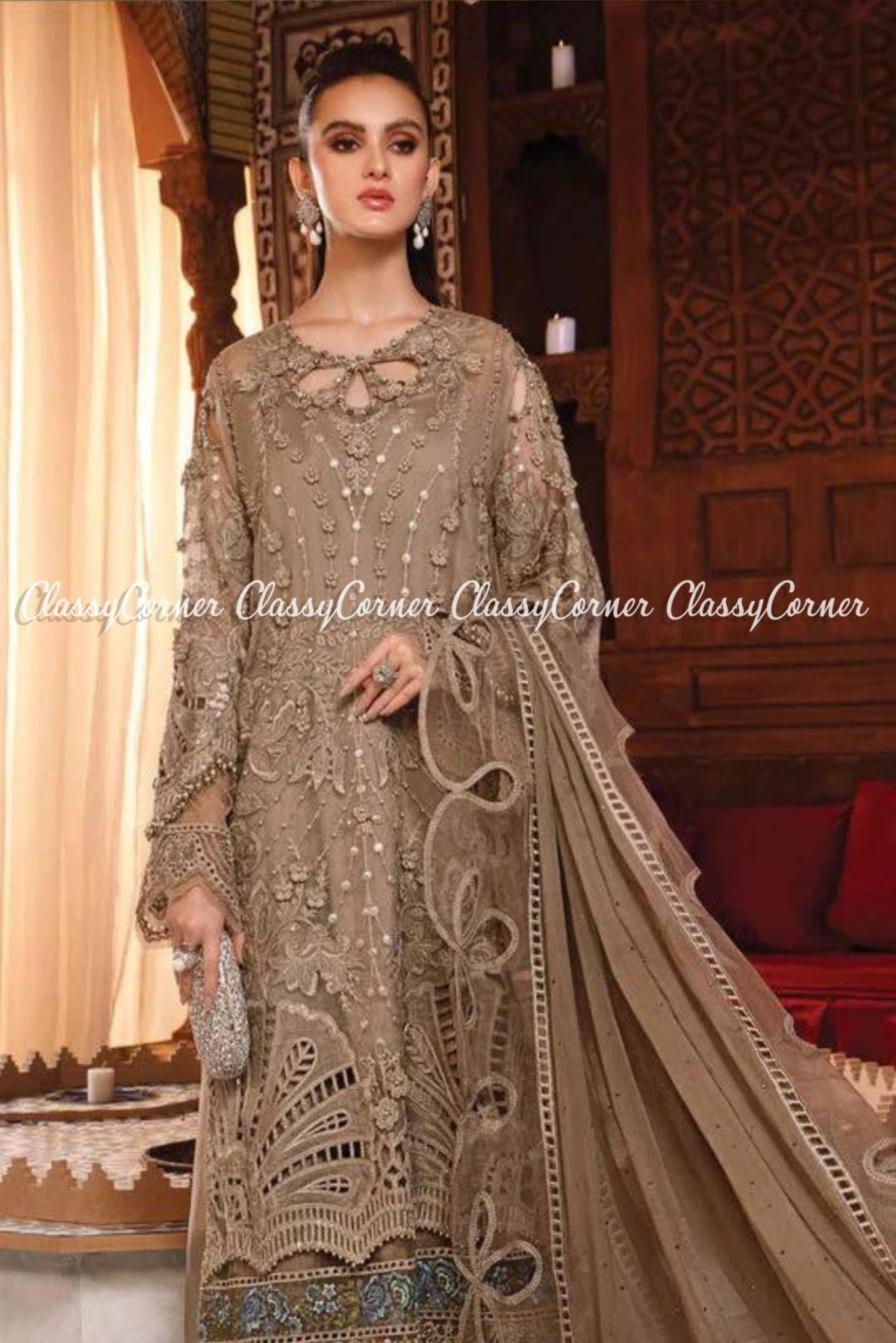 Beige Silver Organza Embroidered Party Wear Salwar Kameez