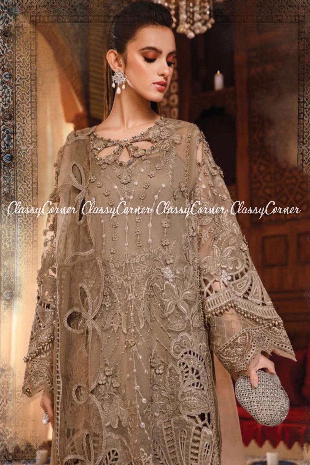 Beige Silver Organza Embroidered Party Wear Salwar Kameez