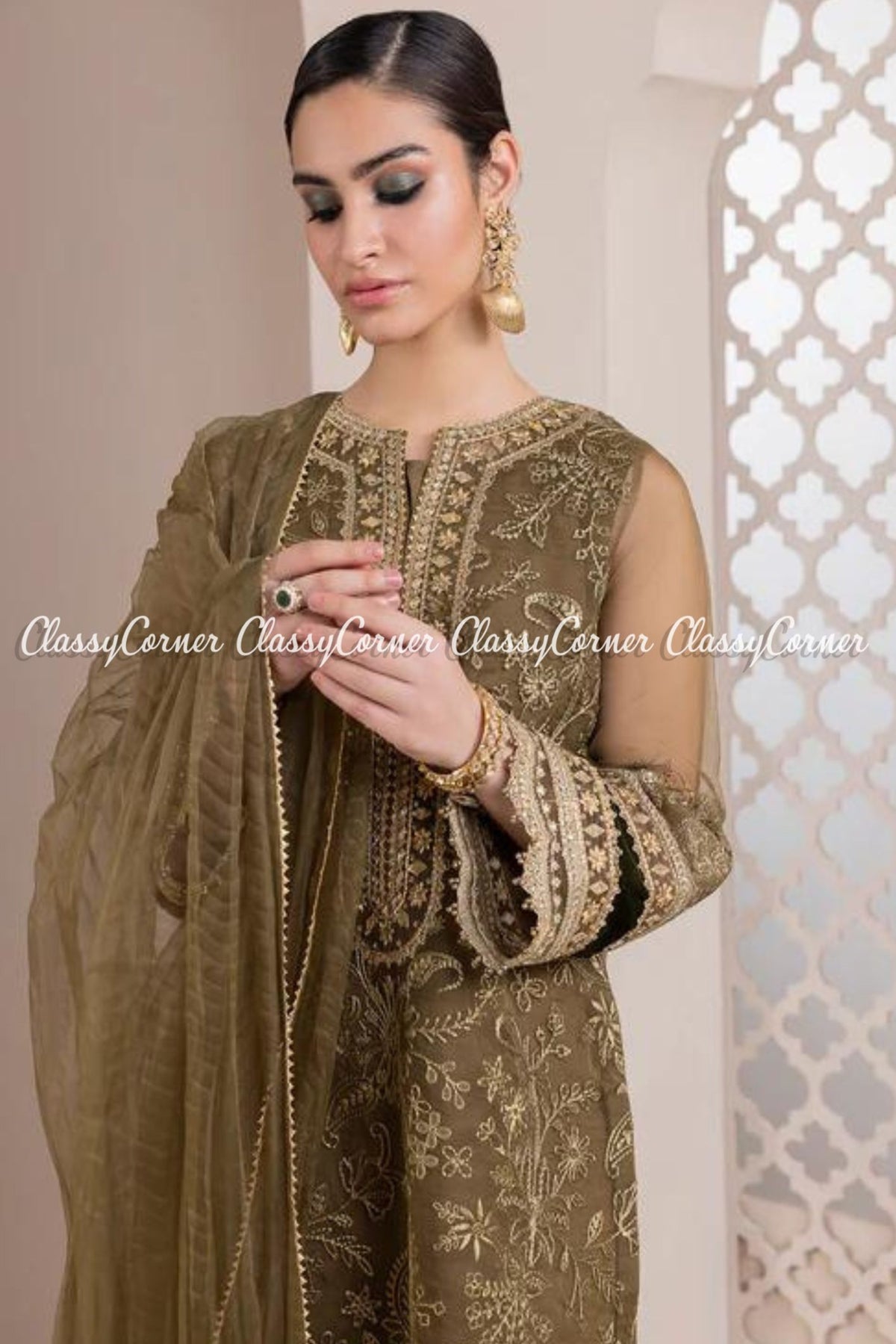 Light Brown Golden Organza Embroidered Salwar Kameez