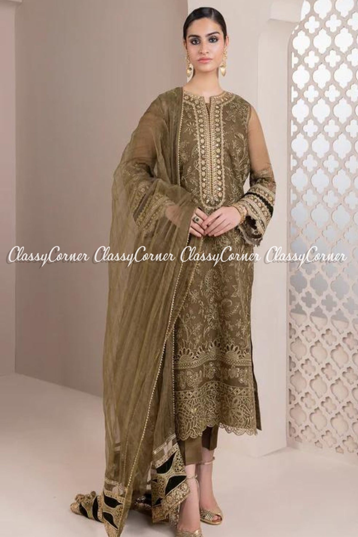 Light Brown Golden Organza Embroidered Salwar Kameez