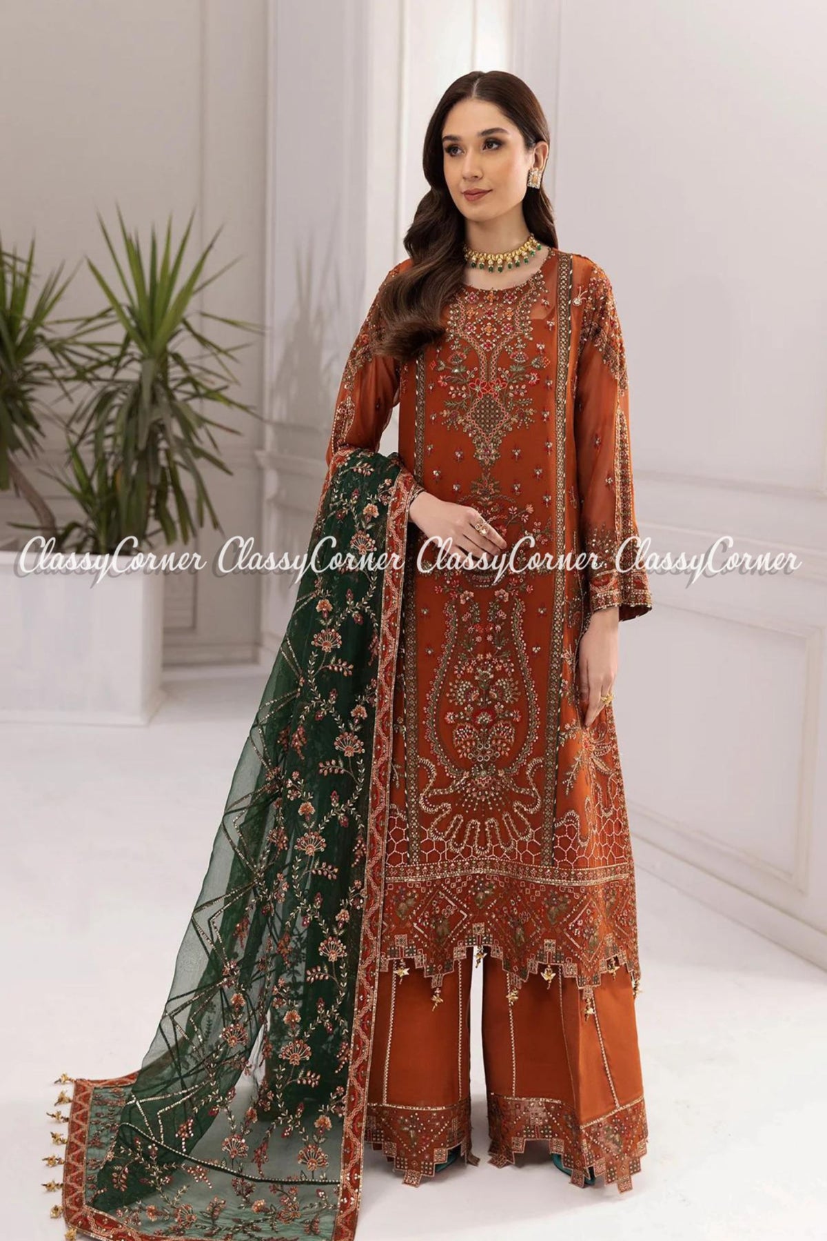 Pakistani Party Wear Fancy Dresses